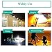 Solar Bulb Lights for Indoor Outdoor, PRODELI Portable LED Light Dusk to Dawn Solar Lamp for Camping Tent Fishing Hiking Chicken Coop Shed Lighting [150LM 1600mA]
