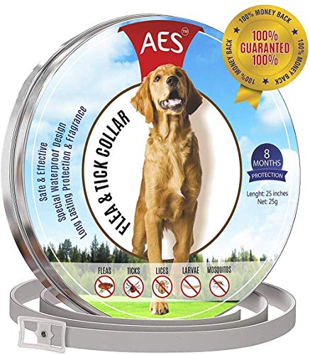 AF Dog Flea and Tick Control Collar- 8 Months Flea and Tick Control for Dogs - Natural, Herbal, Non-Toxic Dog Flea Treatment - Waterproof Protection and Adjustable Best Flea Collar for Dogs