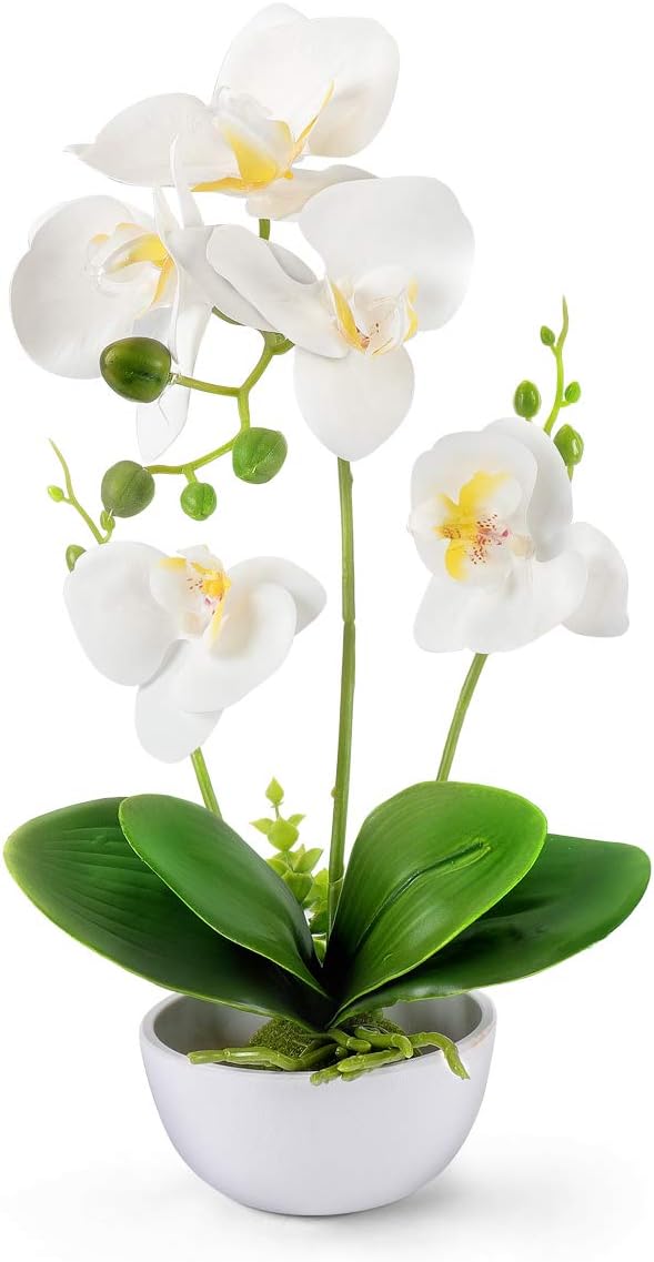 YOBANSA Artificial Phalaenopsis Orchid Flower Bonsai with Vase,Fake Orchid Silk Flowers Arrangements for Home Table Office Decor (White-B)