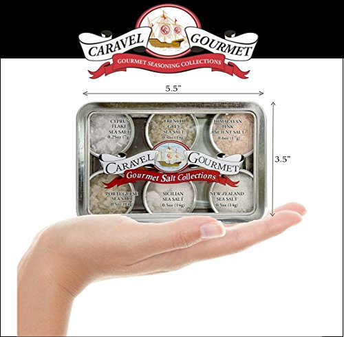 The Smoked Sea Salt Sampler - Perfect as a Gift Set - Reusable Tins & Bamboo Spoon - Alderwood, Cherrywood, Bacon, Bacon Chipotle, Garlic Onion, Garlic Salts - 1/2 oz. each, 3 total oz.