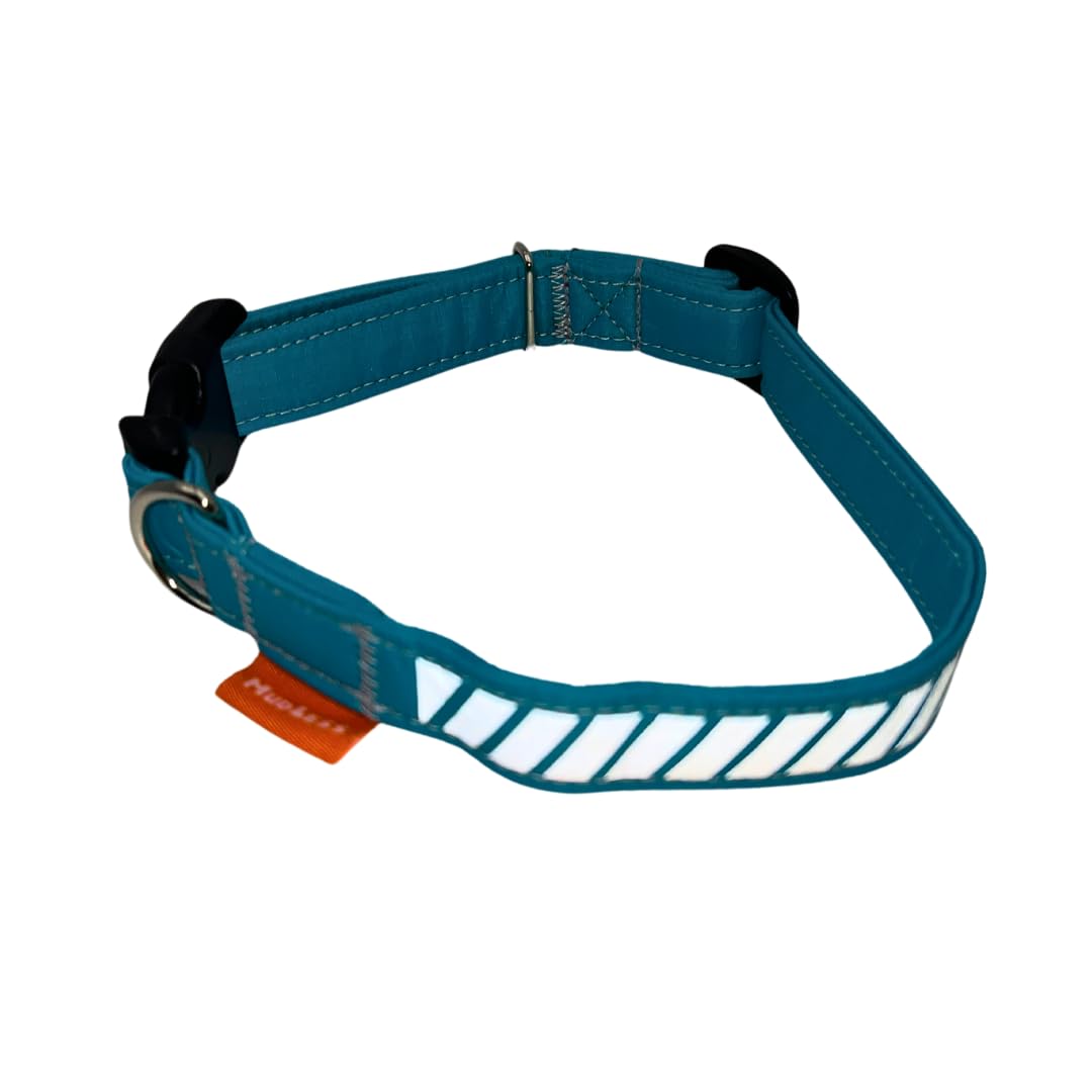 MUDLESS Waterproof Reflective Dog Training Collar - Durable & Lightweight Waterproof Dog Collar, Enhanced Visibility, Fast-Drying - Ideal for Walks, Training & Outdoor Adventures (Turquoise, XS) โ image 1