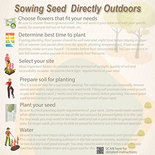 Outsidepride Buckwheat Cover Crop, Grain, Bee Pasture, Pollinator