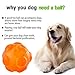 ACEONE Dog Squeaky Ball, Durable Pet Squeak Chew Bouncy Rubber Toy Balls for Small Large Dogs Indestructible Exercise Training Playing (2 Balls)