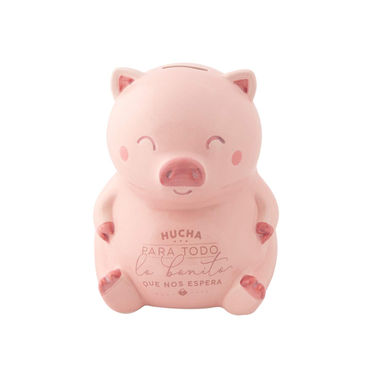 Mr. Wonderful WOA10323ES Piggy Bank for Everything That Expects Pink