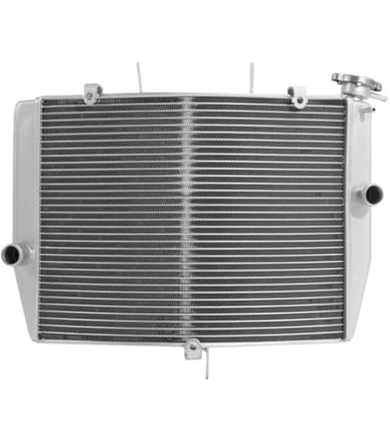 Amazon.com: Engine Aluminum Radiator Fit Kawasaki Ninja ZX