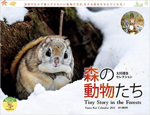 カレンダー21 太田達也セレクション 森の動物たち Tiny Story In The Forests 月めくり 壁掛け ヤマケイカレンダー21 太田 達也 本 通販 Amazon