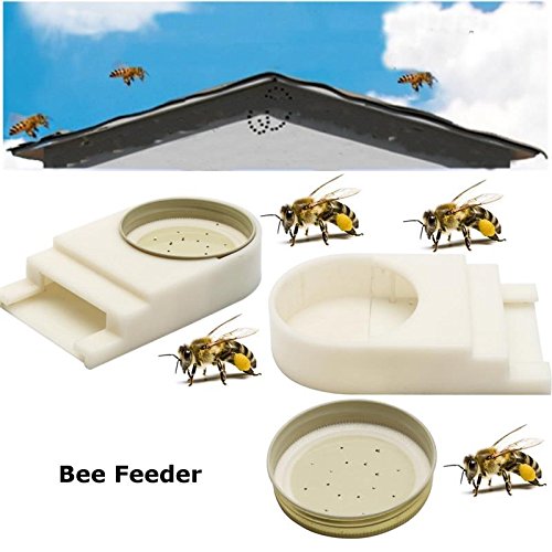 Katoot@ Bee Feeder Beehive Entrance For Spring Build Up or Summer Plastic Keeping Hive Beekeeper Tool American Nest Door Type
