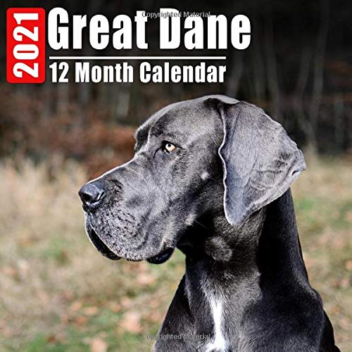 great dane small