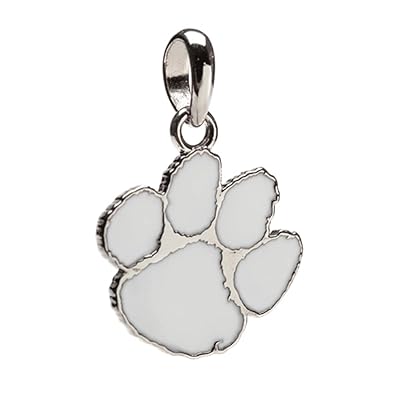 Amazoncom Clemson University Charm Stainless Steel