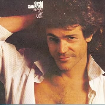 Sanborn David Straight To The Heart Amazon Com Music