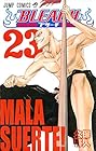 BLEACH -ブリーチ- 第23巻