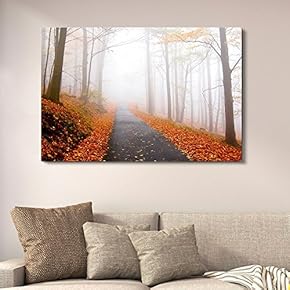 Quiet Lane in The Woods with Fallen Leaves in Autumn