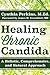 Healing Chronic Candida: A Holistic, Comprehensive, and Natural Approach by Cynthia Perkins, James M. Greenblatt MD