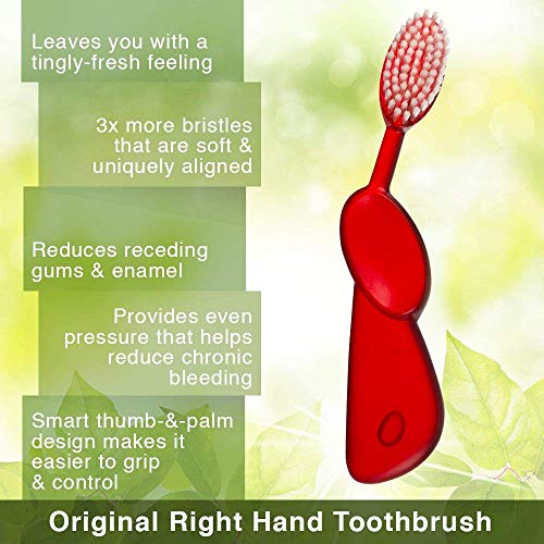 RADIUS Toothbrush Big Brush Right Berry/Natural | BPA Free and ADA Accepted | Designed to Improve Gum Health and Reduce the Risk of Gum Disease |Made with Sustainable Materials