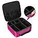 SONGMICS 10.6 Inch Cosmetic Bags travel Makeup Train Case with Adjustable Dividers cosmetic cases with Hard Shell Exterior Storage Organizer Rose UMUC23PK, 1 Count (Pack of 1)