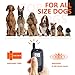 Shock Collar for Dogs - Dog Training Collar with Remote 1000Ft Rechargeable Rainproof Anti Bark E Collar,Beep Vibration Shock for Small Medium Large Dogs (2018 New)