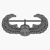 US Army Air Assault Wings Military Badge Airborne Infantry Veteran Pride Car 5" Vinyl Decal Bumper Sticker