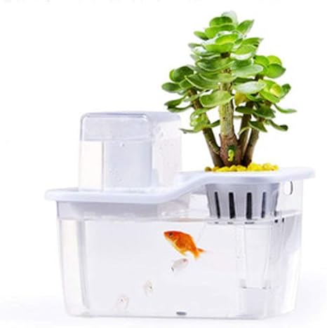 Amazon Co Jp クリエイティブデスクトップ水槽の魚と野菜の共生水超白生態アクリルミュート魚タンク ホーム キッチン