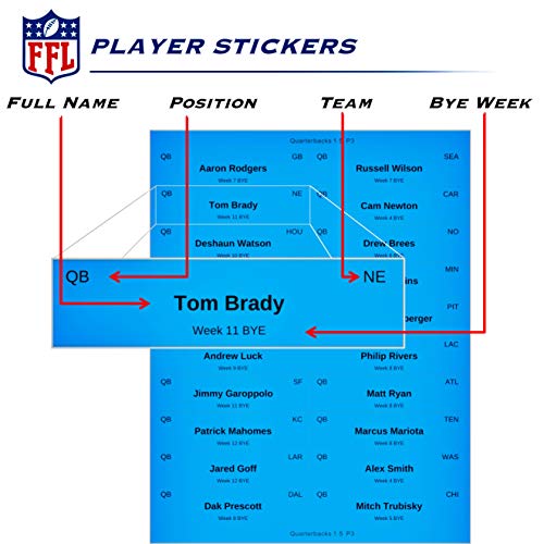 2019 NFL Fantasy Football Draft Board Kit with 700+ Color Coded Player Labels | Updated 2019 Draft Picks and Offseason Transfers | 12 Teams, 20 Rounds, 5 ft x 3 ft Large FFL Draft Board | Made in USA