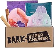 Super Chewer by BarkBox Monthly Subscription Box, Dog Box Care Package for Aggressive Chewers, Durable Dog Toy
