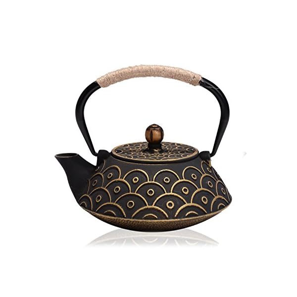 JUEQI 900 ML Old Dutch Cast Iron Teapot, Enamel Craft Tetsubin Japanese Cast Iron Tea Kettle