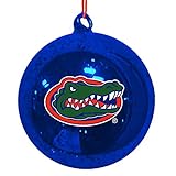Team Sports America Florida Gators Mercury Glass Ball Ornament