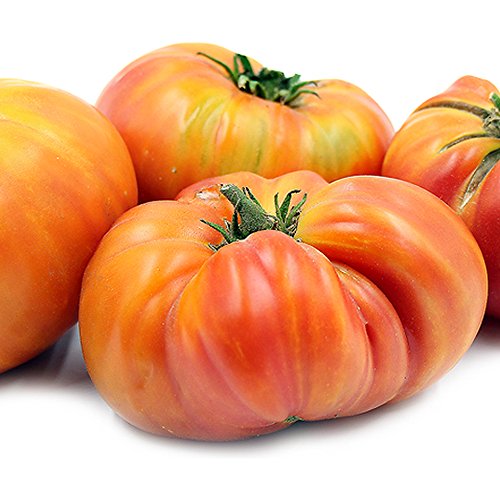 Hillbilly Tomato Seeds (30+ Organic Seeds) - Produces Rare, Beautiful & Delicious 1-2lb Heirloom Fruits - Hillbilly Seeds