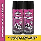 Original Bike Spirits Cleaner and Polish 14 Ounce (Pack of 2)
