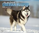 Image de For the Love of Siberian Huskies 2018 14 x 12 Inch Monthly Deluxe Wall Calendar with Foil Stamped Cover, Animal Dog Breeds Husky