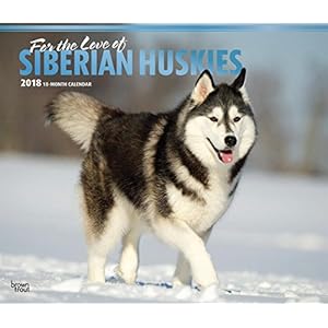 For the Love of Siberian Huskies 2018 14 x 12 Inch Monthly Deluxe Wall Calendar with Foil Stamped Cover, Animal Dog Breeds Husky