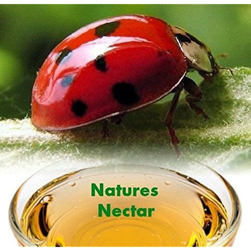 unique gift ideas on amazon related to Patio, Lawn & Garden huge collection of amazon products that are Beneficial Insects under $10
