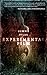 Experimental Film