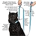 Wagtime Club Soft &Thick Dual Handle 6FT Dog Leash, Premium Nylon Double Padded Handles for Medium, Large or XLarge Dog (Bright Blue)
