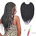 Xinxinshuyu 6 Packs 12 Inch Havana Twist Crochet Hair Mambo Twist Senegalese Crochet Braids Braiding Hair Extensions 75gram/22 Roots/Pack (#1B)