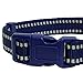 Blueberry Pet Essentials Safe & Comfy 3M Reflective Adjustable Dog Collar - Midnight Navy, Small, Neck 12