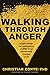 Walking Through Anger: A New Design for Confronting Conflict in an Emotionally Charged World