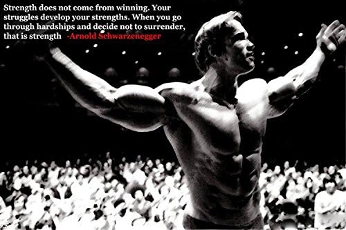 Strength Comes From Struggles - Motivational Art Silk Poster Arnold Schwarzenegge 24x36inch