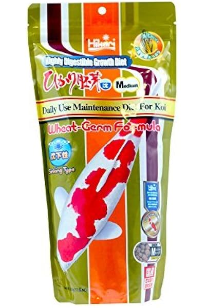 buy frozen fish food online