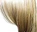 40 inch Hair Tinsel 300 Strands Three Amazing Colors : Sparkling Silver, Sparkling Gold, Shiny Rainbow