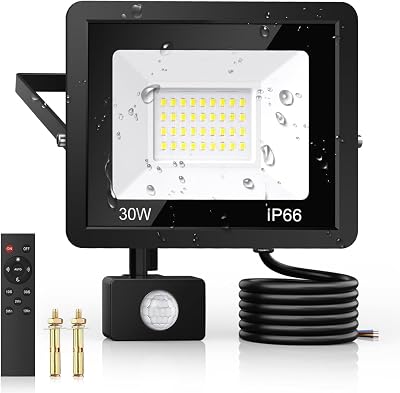 VIIIVA 30W Outdoor Security Light Motion Sensor PIR Flood Light IP66