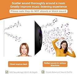 TroyStudio Acoustic Sound Diffuser Panels, 19.7 X