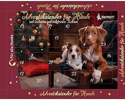 Calendrier De Lavent Pour Chiens Sans Grains