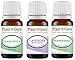 Essential Oil Set Beginner Trio Kit 10 ml 100% Pure Therapeutic Grade Includes: Eucalyptus, Lavender, Peppermint. for Aromatherapy Diffuser Humidifier, Skin and Hair Growth.