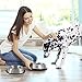 Stainless Steel Pet Bowls with Non Slip Rubber Bottom for Dogs and Cats-Feeder Dish for Food and Water- Set of 2, 16 Oz Each By PETMAKER