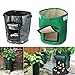 Aquarius CiCI Garden Potato Grow Bag Eco-Friendly Garden Planting Grow Bags Vegetables Planter Bags with Flap and Handles Heavy Duty Suitable for Potato, Carrot, Tomato, Onion(Green)