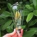 Santaro 4W 3pack Warm White Dimmable Edison Vintage LED Filament Bulb - Soft White Replace 20W Incandescent, E26 110V 80Ra LED Edison Style Retro ST64