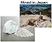 Newstone's Natural Zeolite Rock - Chunks of Large Natural Zeolite Rock, Mined From Japan (1.1lbs / 500grams) - Great for Odor Removal in Room, Use in Aquarium to Remove Ammonium