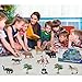 iBaseToy Zoo Animals Toy Jungle Animals, Toddlers Wild Animal Figures Set, Free Standing Realistic Animal Toys for Kids, Perfect for Birthday Party Favors, Classroom Rewards and Easter Gift