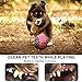 Dog Toys, Dog Chew Toys, Dog Training Toy Set with Ball Ropes and Squeaky Toys for Medium to Small Doggie, 12 Pack of Gift Pet Toy Set