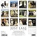 Just Labs 2020 Wall Calendar (Dog Breed Calendar)